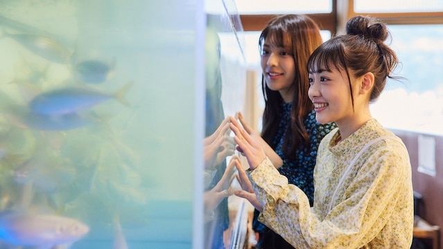 熱海温泉 ホテルサンミ倶楽部 別館