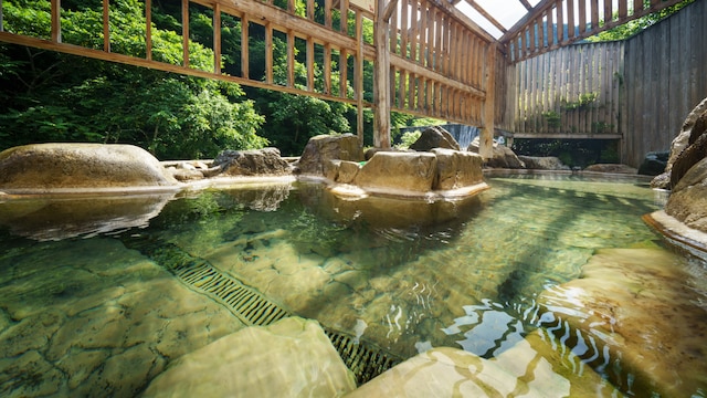 小川温泉元湯ホテルおがわ