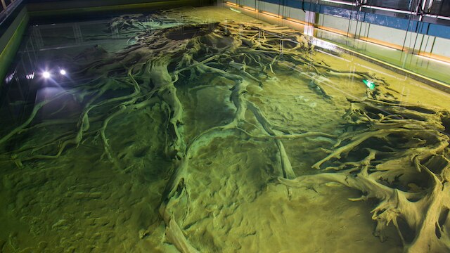 小川温泉元湯ホテルおがわ