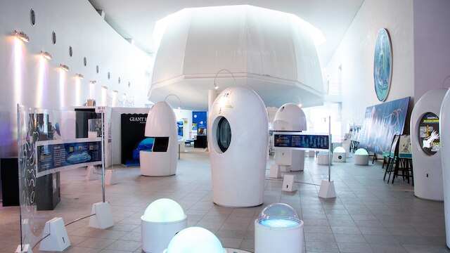 小川温泉元湯ホテルおがわ