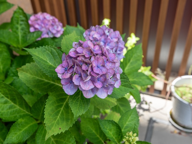 ホテルエクセレンス京都駅八条口