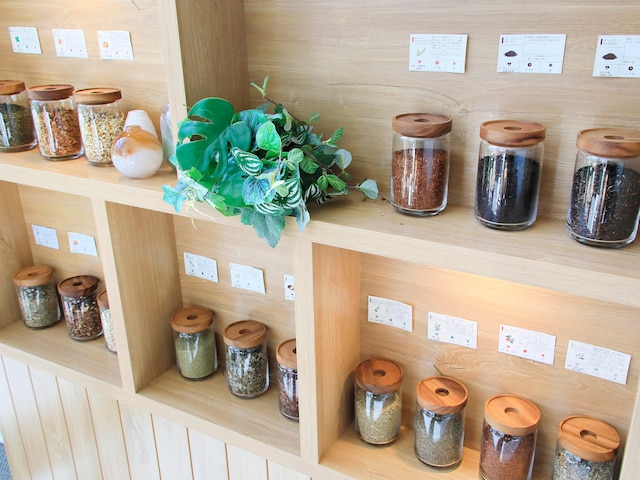 フォートリート草津