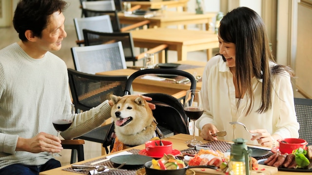 ゆとりろガーデン北軽井沢withDOGS