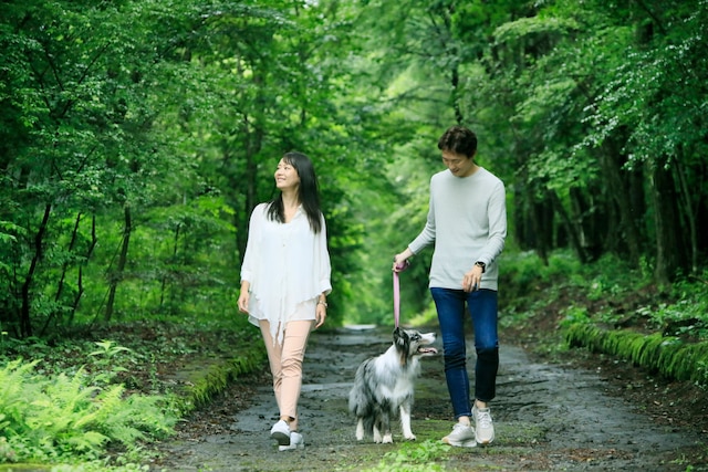 ゆとりろガーデン北軽井沢withDOGS