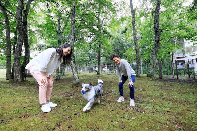 ゆとりろガーデン北軽井沢withDOGS