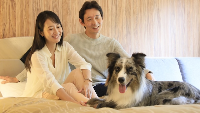 ゆとりろガーデン北軽井沢withDOGS