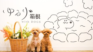 ゆるり箱根withDOGS