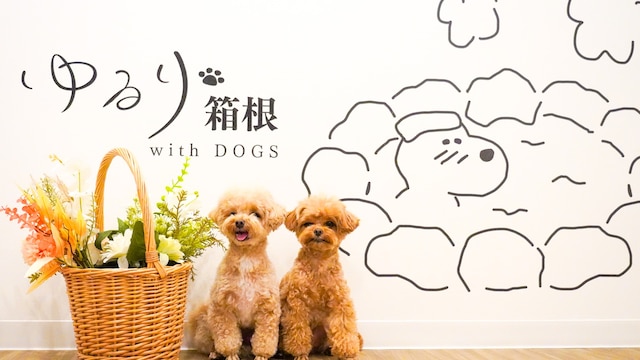 ゆるり箱根withDOGS
