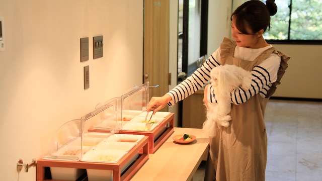 ゆるり箱根withDOGS