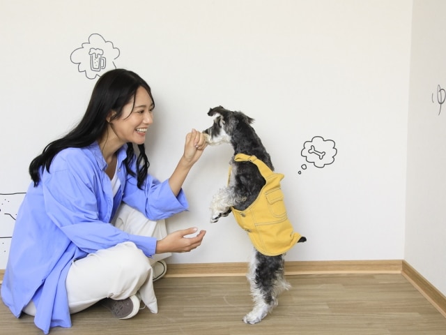 ゆるり熱海withDOGS