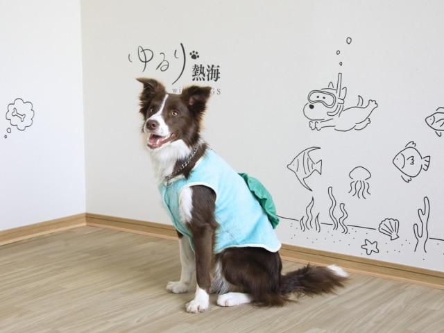 ゆるり熱海withDOGS