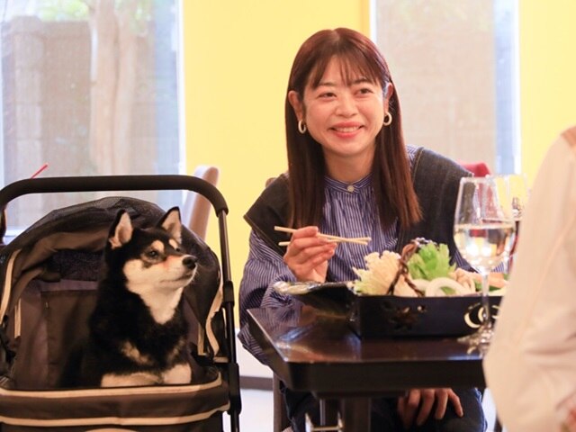 別府温泉わんこの宿ゆるり