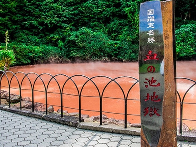 別府温泉わんこの宿ゆるり