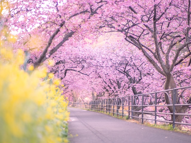 伊豆まつざき荘