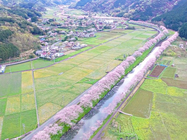 伊豆まつざき荘