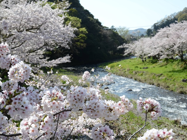 伊豆まつざき荘