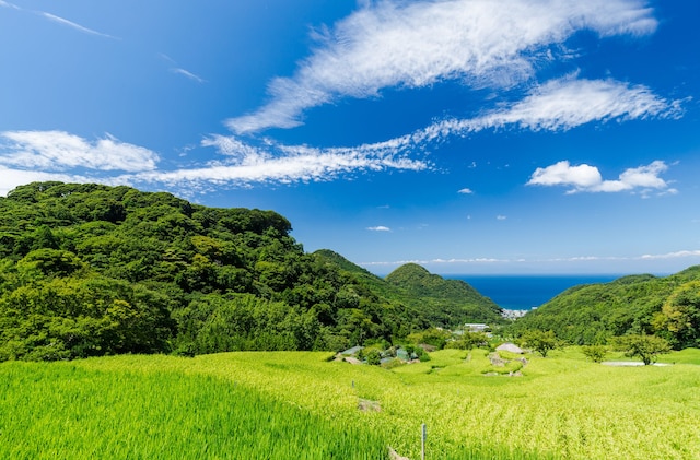 伊豆まつざき荘