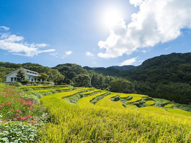 伊豆まつざき荘