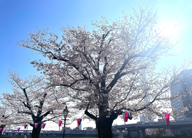 ホテルアマネク浅草桜橋