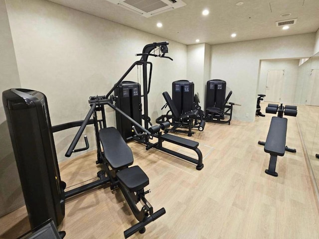 THE RISE 大阪ユニバーサルベイサイド