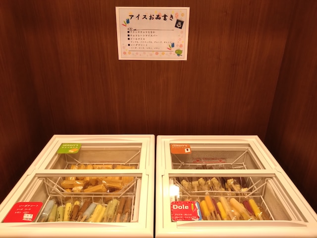 中通温泉 こまちの湯 ドーミーイン秋田