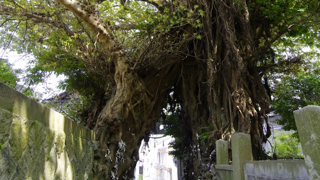 五島列島リゾートホテル マルゲリータ奈良尾 <五島・中通島>