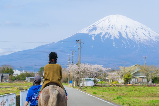 グランピング藤乃煌 富士御殿場