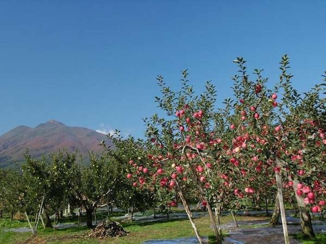 青森のお宿 ホテルアップルランド