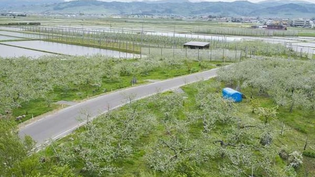 青森のお宿 ホテルアップルランド