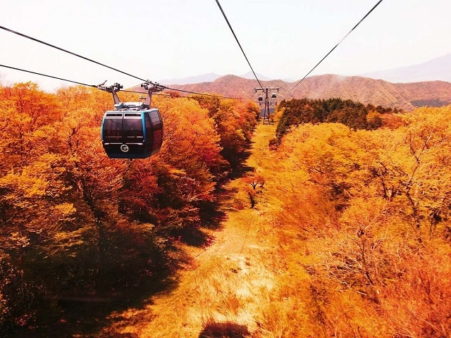 箱根強羅 別邸今宵