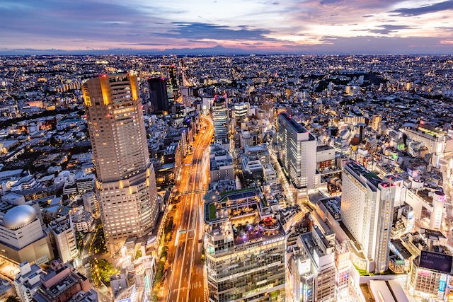 セルリアンタワー東急ホテル