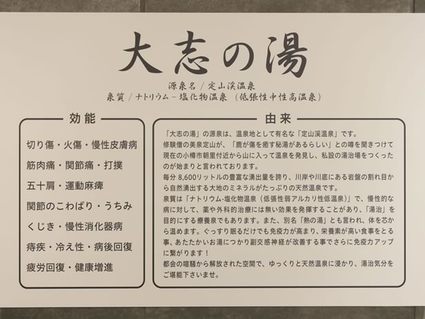 天然温泉 大志の湯 スーパーホテル札幌・北5条通