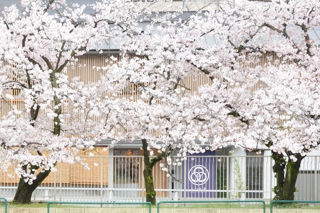 みつわ屋