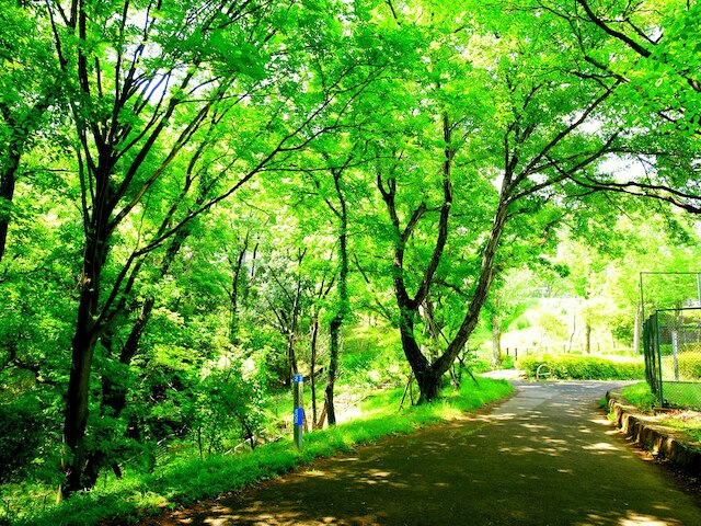 スマイルホテル東京多摩永山