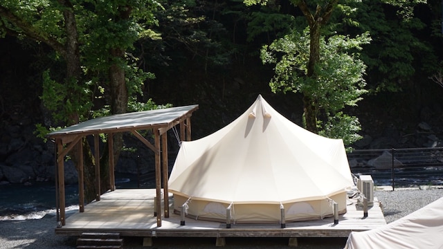 ステラスポーツ