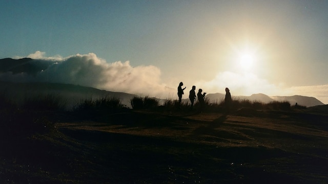 ステラスポーツ