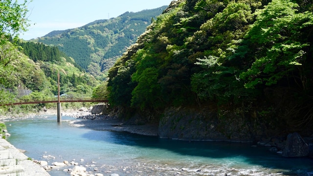 ステラスポーツ