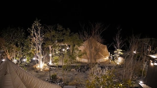 ステラスポーツ