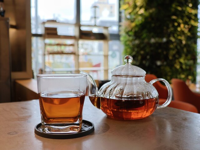 THE GALA HOTEL UMEDA