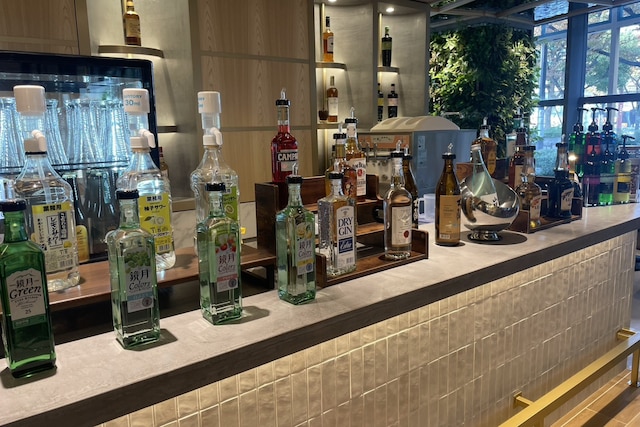 THE GALA HOTEL UMEDA