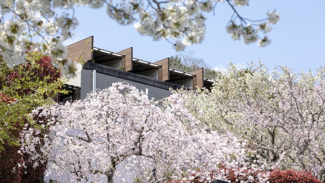 絶景の宿さくら亭