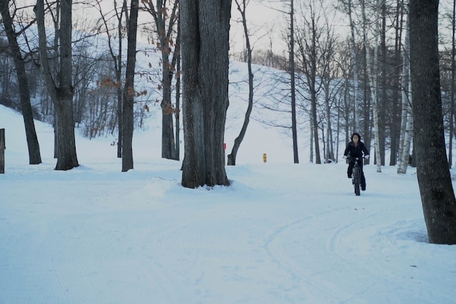 HOTEL NUPKA／NUPKA Hanare
