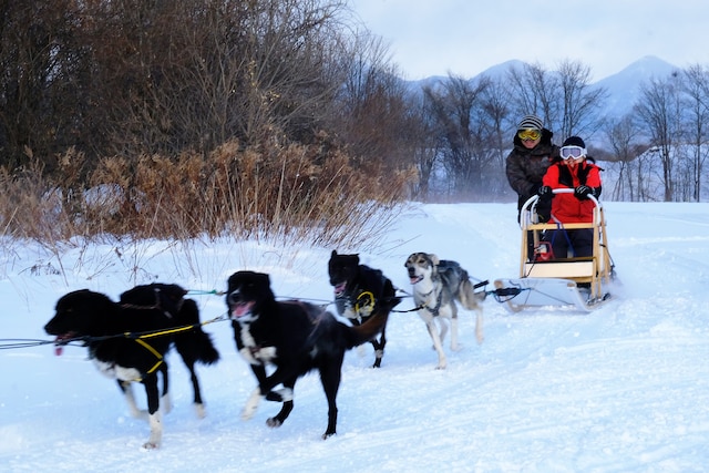 HOTEL NUPKA／NUPKA Hanare