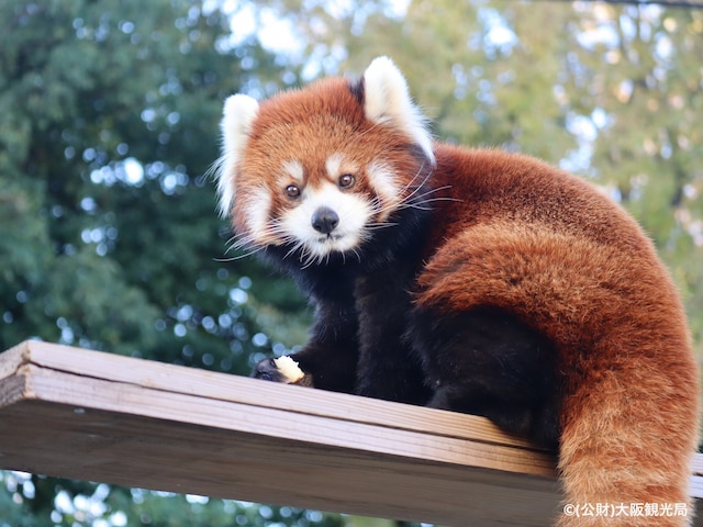 ホテルウィングインターナショナルセレクト東大阪