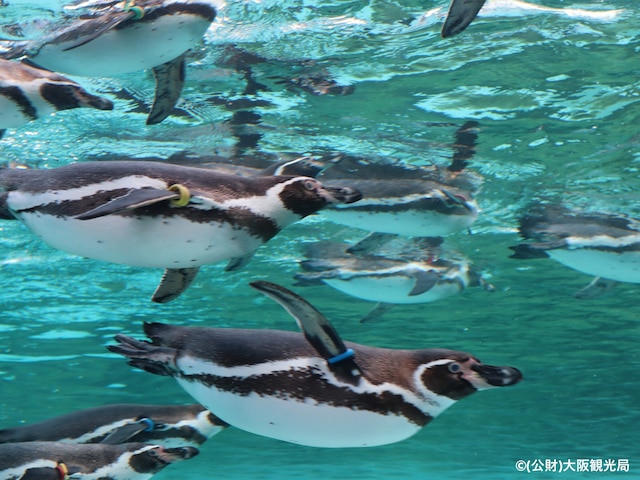 ホテルウィングインターナショナルセレクト東大阪