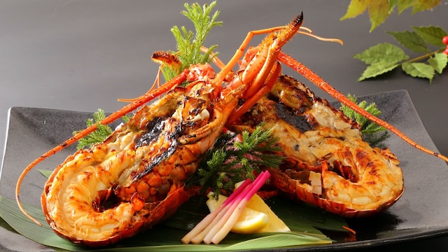 久慈サンピア日立