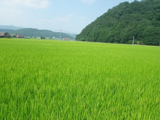 豪農の家・安芸高田