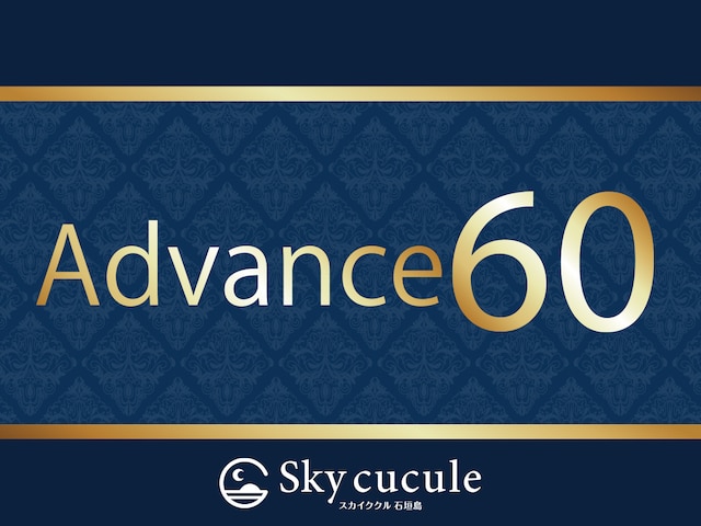 スカイククル石垣島