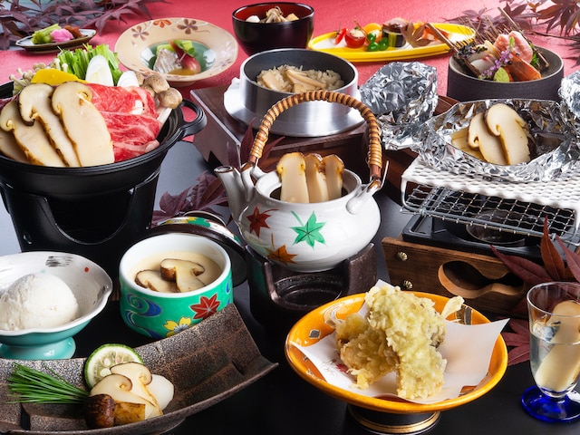 信州穴沢温泉 松茸山荘 別館