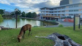 ホテル天平ならまち